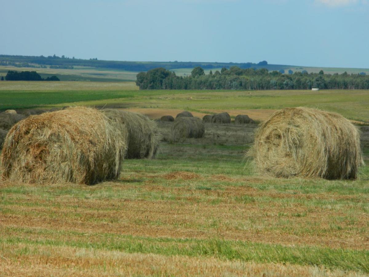 Green Thumb Farm Stay Эрмело Экстерьер фото