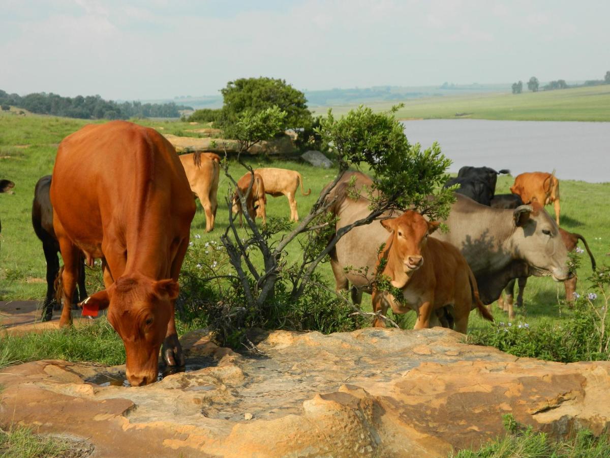 Green Thumb Farm Stay Эрмело Экстерьер фото